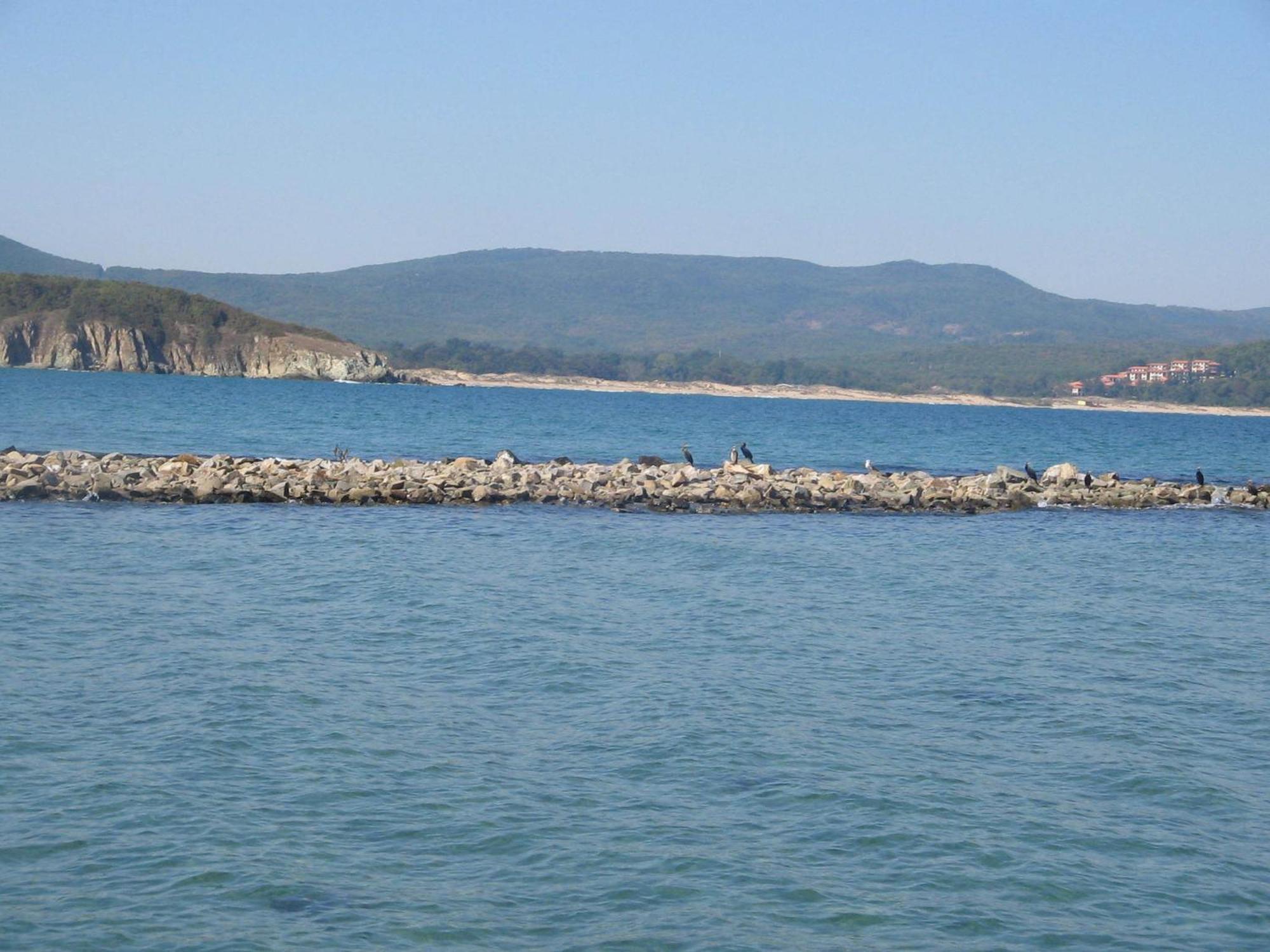 Sunny Paradise Family Hotel Naousa Dış mekan fotoğraf